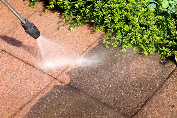 Best Fleet & Vehicle Pressure Washing in Whitney, SC